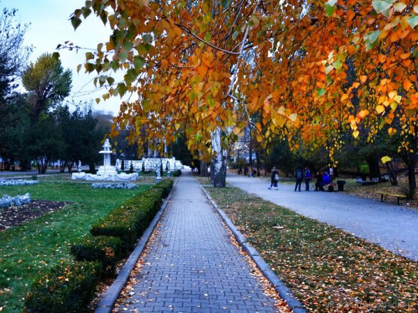 Парк Горького Ростов-на-Дону осенью