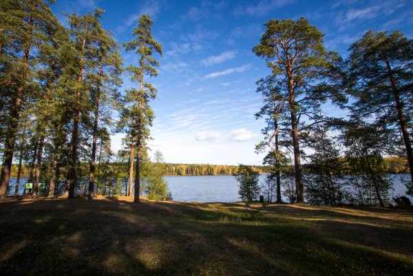 Заказник Щучье озеро Комарово