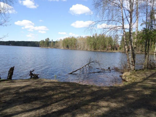 Щучье озеро в Ленинградской области