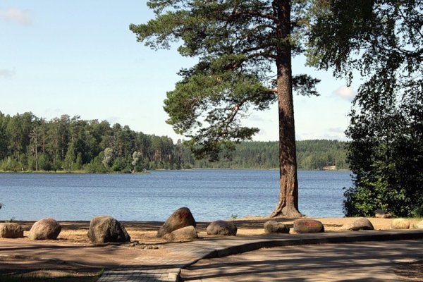 Щучье озеро Комарово