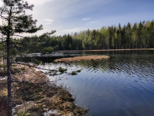 Озеро Щучье Свердловская область