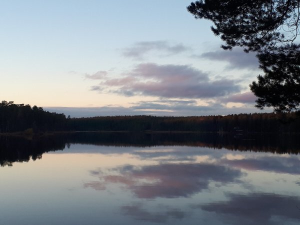 Озеро Щучье Зеленогорск