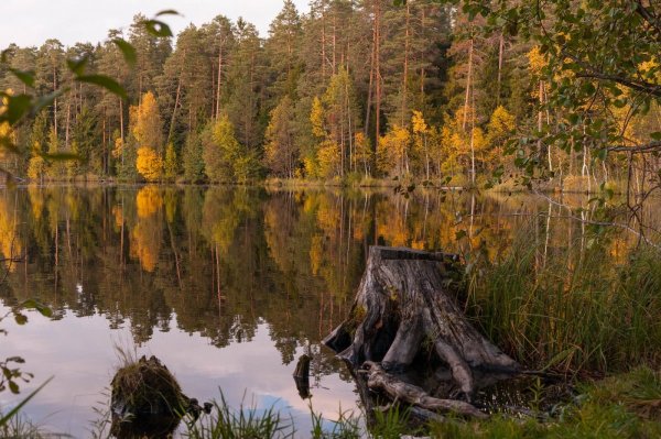 Заказник озеро Щучье