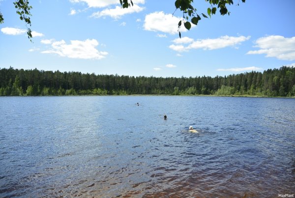 Щучье озеро Комарово