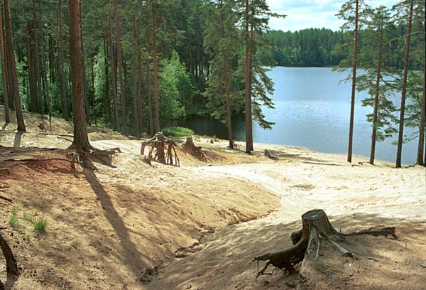 Щучье озеро Комарово