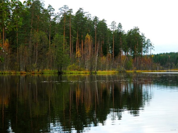 Озеро Щучье Зеленогорск