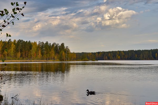 Щучье озеро Санкт-Петербург