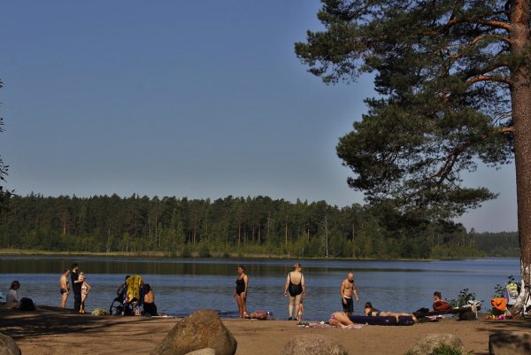 Щучье озеро Комарово