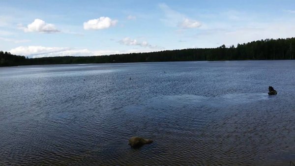 Комарово-Санкт-Петербург озеро Щучье