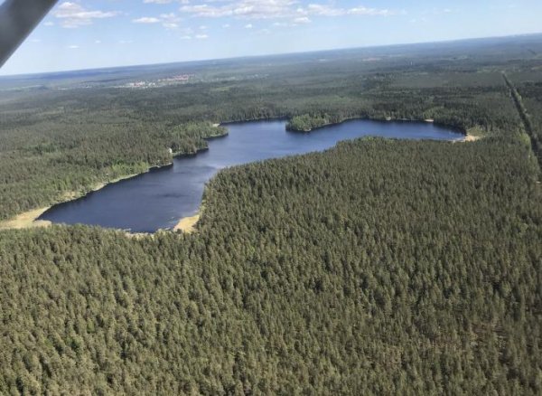 Щучье озеро Комарово