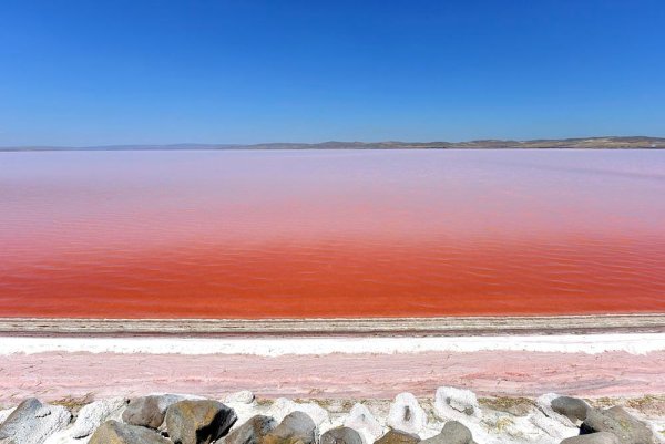 Dunaliella Salina озеро