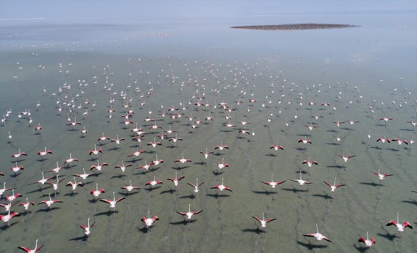 Соленое озеро туз в Турции