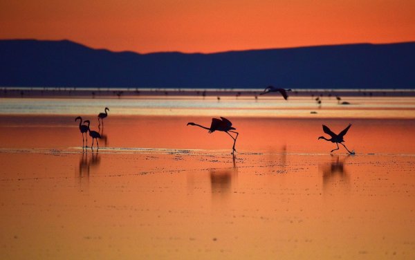 Озеро туз Турция