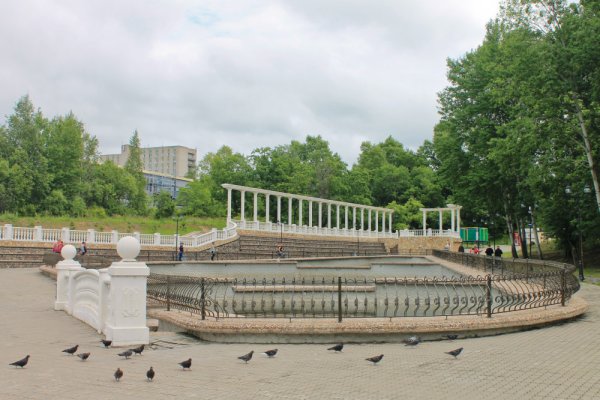 Пруд в парк Северный Хабаровск
