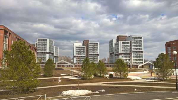 Пентхаус Северный парк