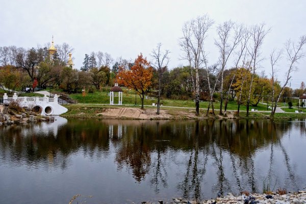 Пруд в парк Северный Хабаровск