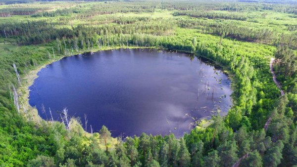 Смердячье озеро Шатура