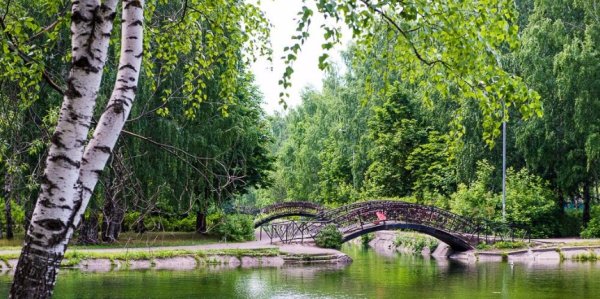 Парк Урицкого Казань