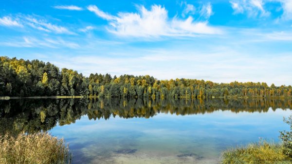 Светлоярское озеро Нижегородская область
