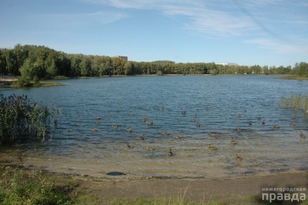 Светлоярское озеро Нижний Новгород