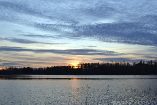 Светлоярское озеро летом