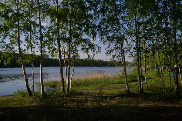 Светлоярское озеро Нижний Новгород