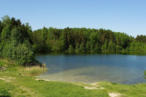 Озеро Светлояр Воскресенский район
