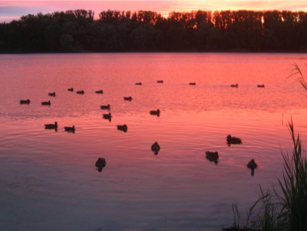 Светлоярское озеро Сормово