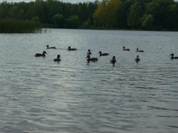 Парк Светлояр Нижний Новгород