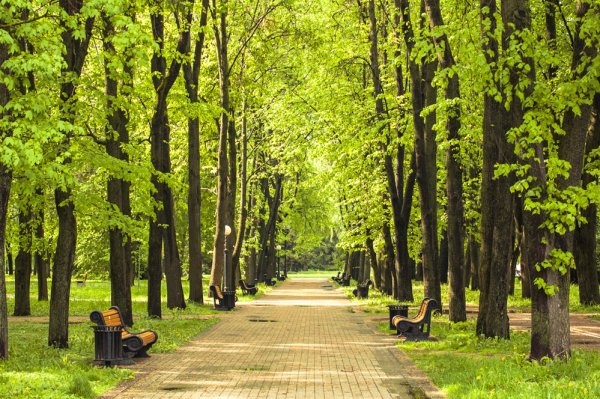 Минск парки