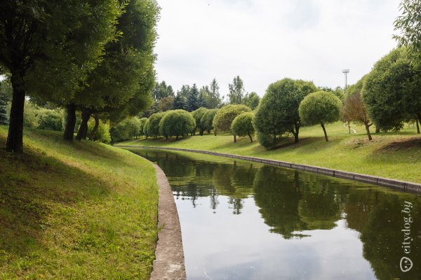 Лесопарк зеленый луг в Минске