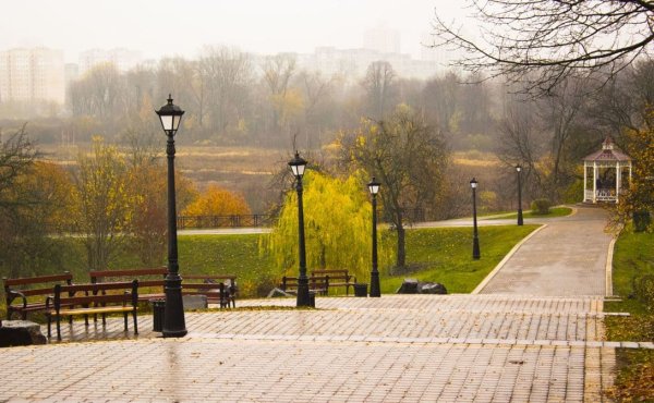 Лошица парк