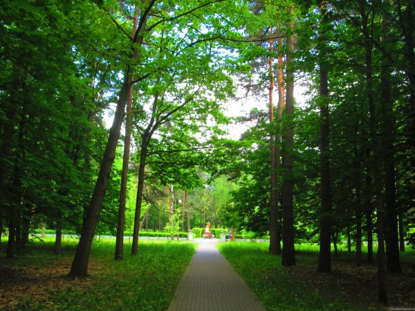 Челюскинский парк в Минске