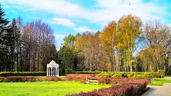 Центральный Ботанический сад Беларуси