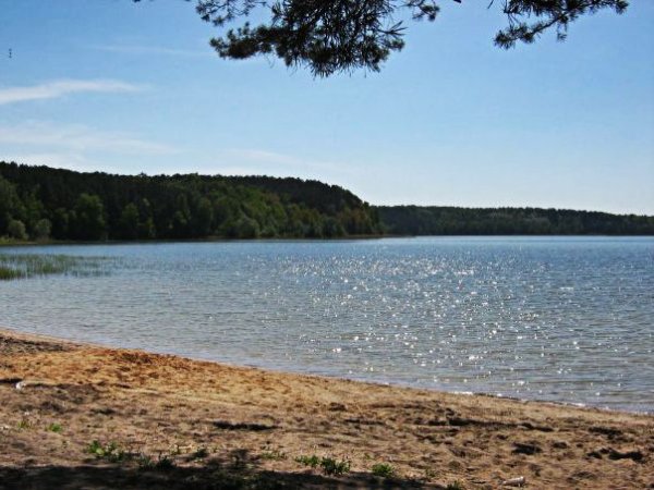 Озеро гороховое Псковской