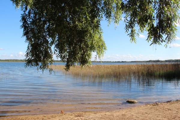 Гороховое озеро Псковская область