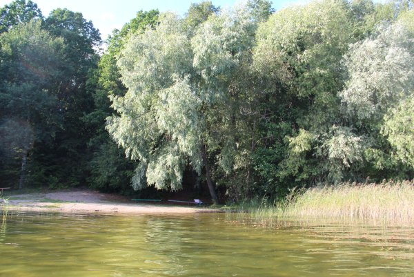 Гороховое озеро Островский район