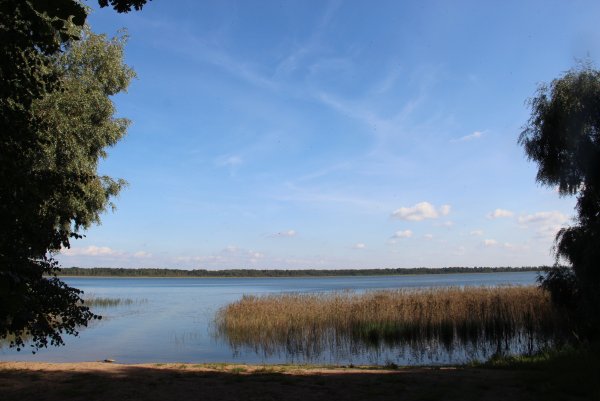 Горозовое озеро остров