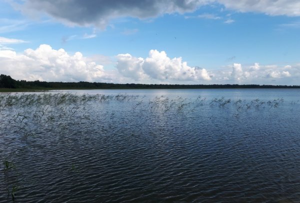 Гороховое озеро Островский район