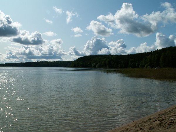 Гороховое озеро Псковская область санаторий