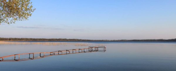 Гороховое озеро Псковская область