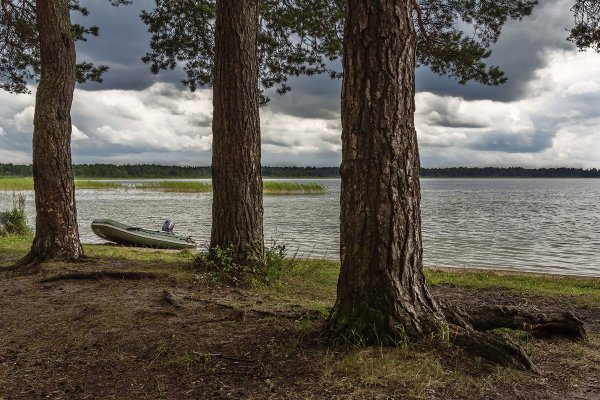 Город остров гороховое озеро Псковская область