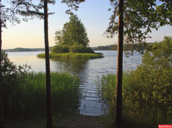 Гороховое озеро Псковская область