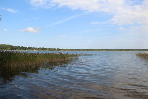 Псков-остров озеро гороховое