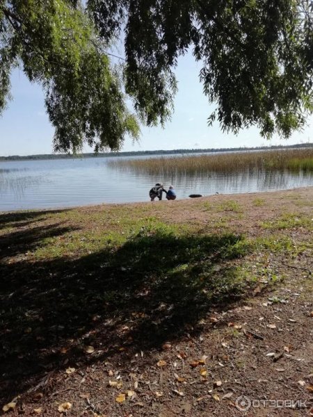 Гороховое озеро Островский район