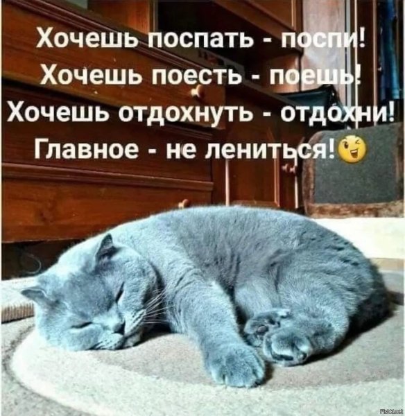 Желаю хорошо выспаться и набраться сил