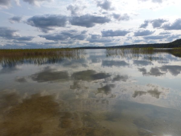 Озеро гороховое Островский