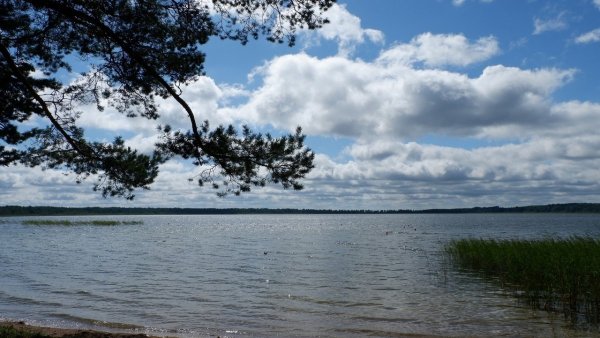 Гороховое озеро Псковская