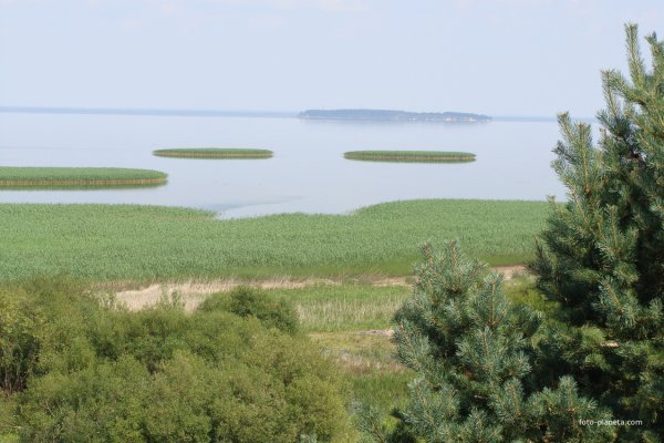 Остров Белова Псковская область