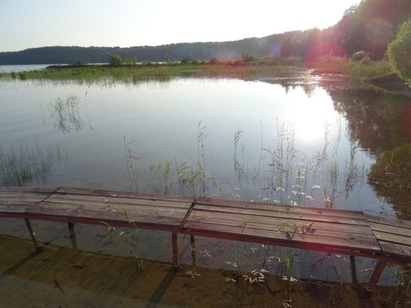 Санаторий гороховое озеро Островский район